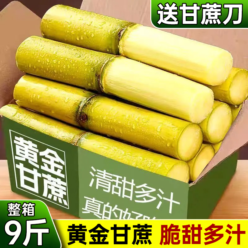 云南黄金甘蔗脆甜多汁