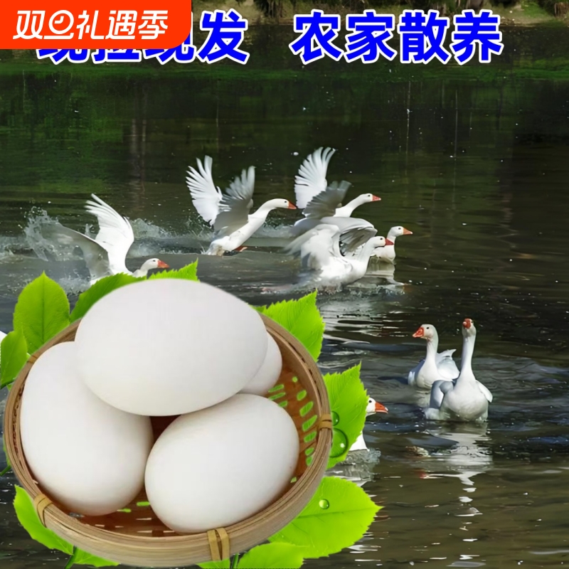 农家散养新鲜鹅蛋大鹅蛋正宗土鹅蛋现捡现发
