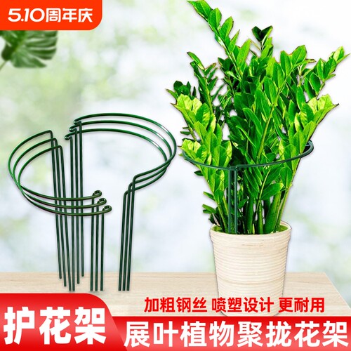 铁艺花架植物支撑半圆聚拢护叶架