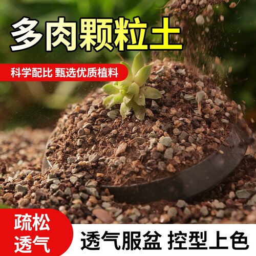 颗粒土多肉营养土专用土壤种植土泥炭进口栽培铺面石纯颗粒肥花土