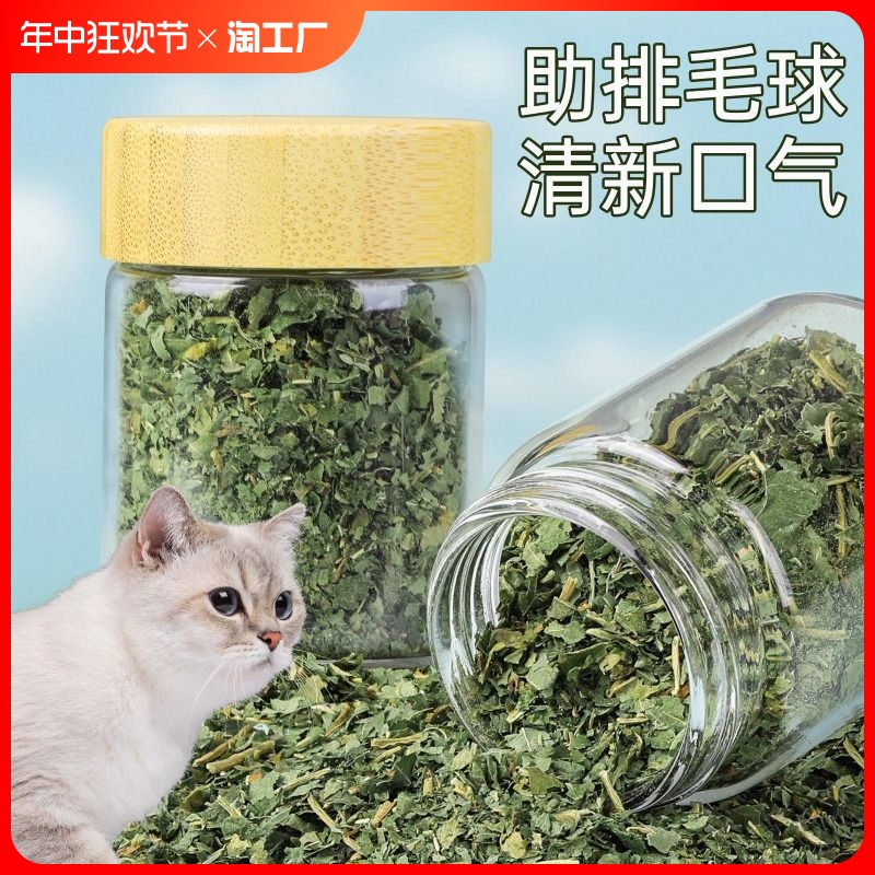 猫薄荷罐装高纯度强力去毛球天然可食用猫粮超强骗水猫薄荷草干草 宠物/宠物食品及用品 猫薄荷/木天蓼 原图主图