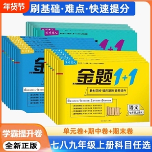 七八年级上下册试卷测试卷数学英语地理生物青岛湘教版华师78下11教辅资料卷初中物理鲁教版同步历史冀教版沪科版沪粤版课本金题