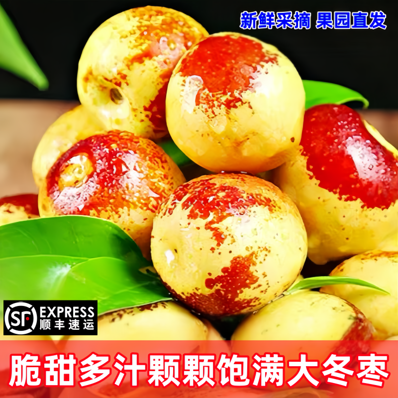 顺丰包邮正宗冬枣新鲜大果应季整箱枣子现摘脆枣冰糖大枣当季水果