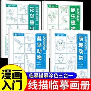 线描临摹画册漫画入门手绘描摹本动漫人物线稿描绘儿童描画美少女古风人物绘画画画基础自学教程指南白描素描临摹卡通素描书教材W