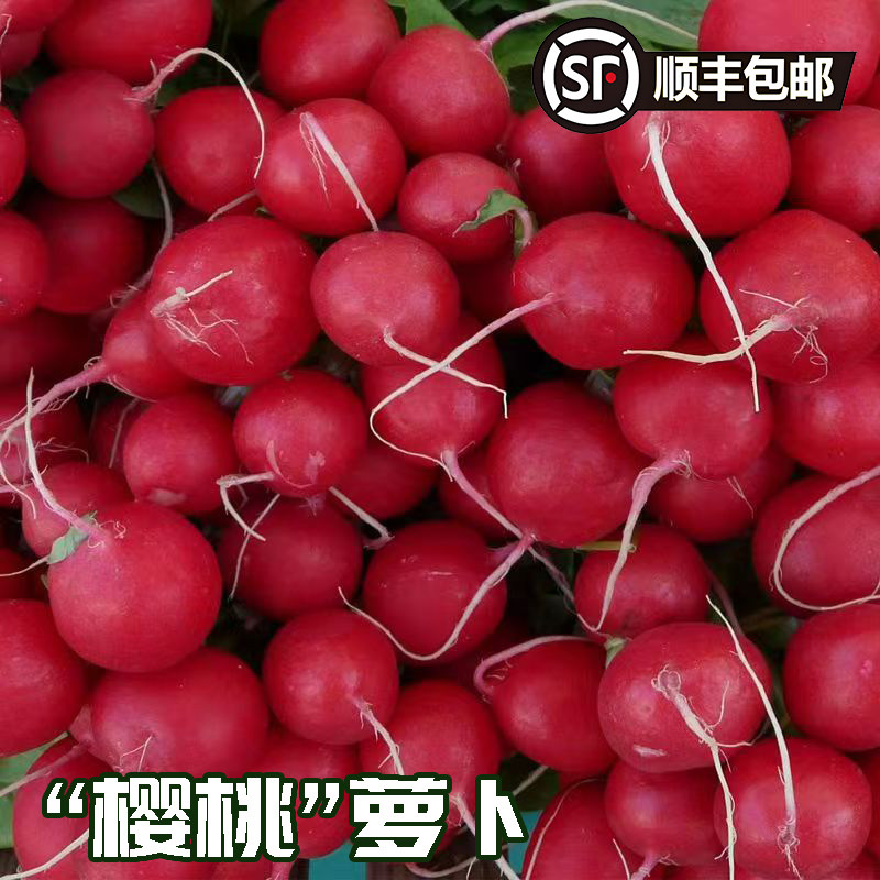 新鲜樱桃萝卜红丁当季水果小红萝卜红丁特产甜脆东北萝卜顺丰包邮,水产肉类/新鲜蔬果/熟食,萝卜/胡萝卜,淘宝优惠券,粉丝福利购,淘宝优惠卷