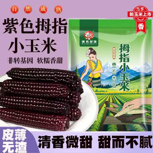 西双版纳小花青紫玉米真空包装