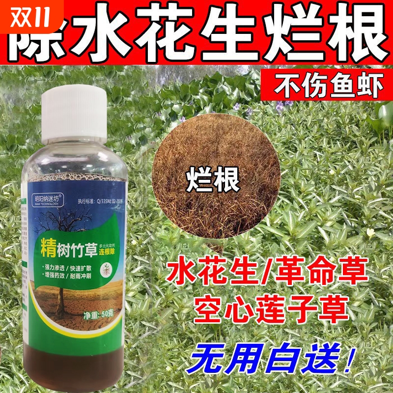 水花生烂根剂强力除草一扫光不伤苗革命莲子水葫芦不长草GP植物