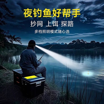 防蚊头灯户外感应夜钓专