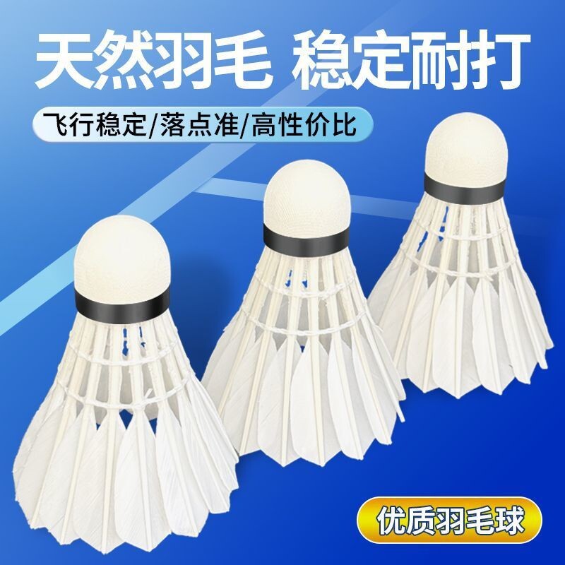 12只装正品防风无标白色羽毛球室内室外飞行稳定耐打王娱乐用球