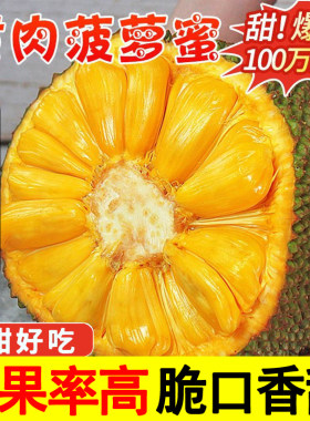 海南菠萝蜜一整个新鲜水果零食当季黄肉整箱包邮批发果肉热带香蕉