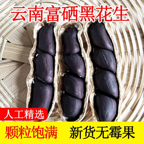 云南黑花生黑皮花生富硒带壳原味甜特产2025年货袋装新货晒干食用