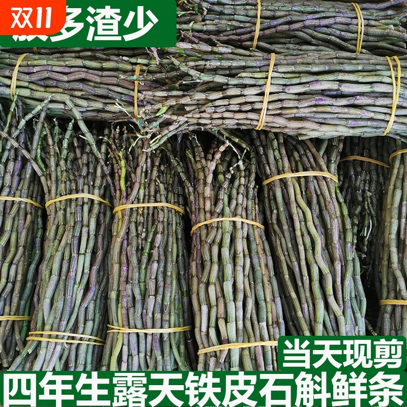 新鲜铁皮石斛鲜条500克四年露天铁皮石斛干条石斛花石斛枫斗
