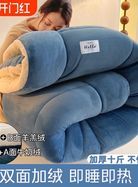 牛奶绒被子冬季双面珊瑚绒被褥子羊羔绒被芯加绒棉被加厚10斤冬被