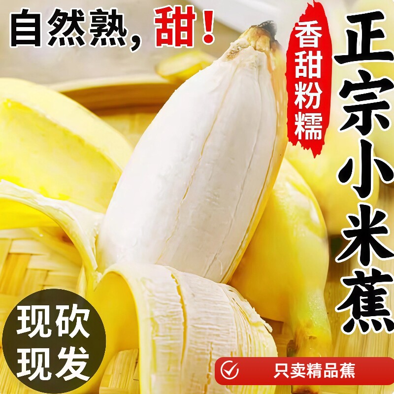 正宗广西小米蕉10斤当季新鲜水果小香蕉自然熟小芭蕉蕉包邮现摘
