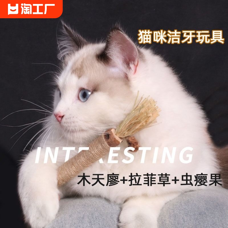 木天蓼磨牙棒猫玩具自嗨解闷耐咬猫薄荷球逗猫棒猫咪用品猫猫神器