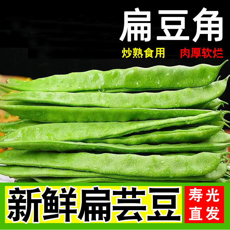 山东本地新鲜刀豆嫩农家现摘青刀把豆角当季蔬菜长扁豆包邮直发