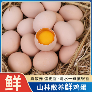 正宗农家散养柴鸡蛋土鸡蛋50g每枚初生蛋营养食材笨鸡蛋