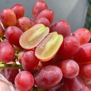 顺丰包邮无籽红提克伦生提子葡萄新鲜水果整串紫提子孕妇小孩水果