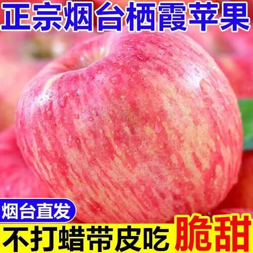 红富士苹果脆甜多汁烟台产地直发