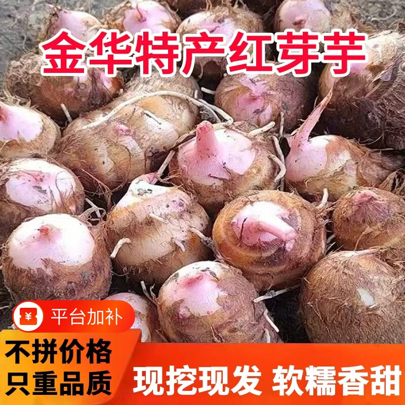 红芽芋头自种小芋仔毛芋艿新鲜现挖香芋5斤金华软糯香甜粉糯蔬菜