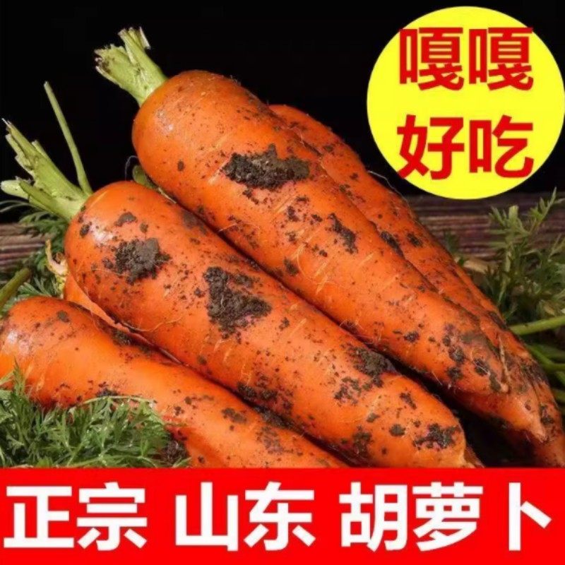 农家自种新鲜蔬菜沙土地胡萝卜生吃脆甜新鲜胡萝卜带泥胡萝卜