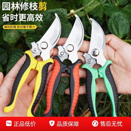 修枝剪园林园艺专用不锈钢剪刀家用省力修花修剪果树摘果树枝花艺