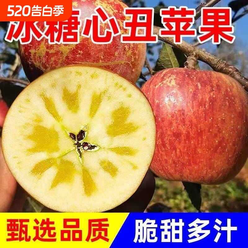 山西运城红富士苹果新鲜水果脆甜丑苹果孕妇冰糖心果园现摘大果
