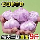 干大蒜2025新干蒜大蒜头干蒜蒜汁浓干蒜头紫白皮干蒜金乡