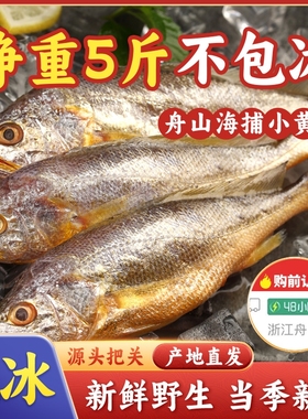 舟山小黄鱼深海捕捞海鱼黄花鱼生鲜海鲜水产新鲜冷冻烧烤5斤鲜活