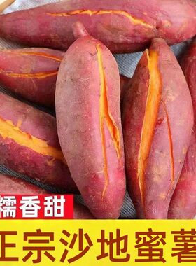 新鲜现挖黄心板栗蜜薯软糯香甜