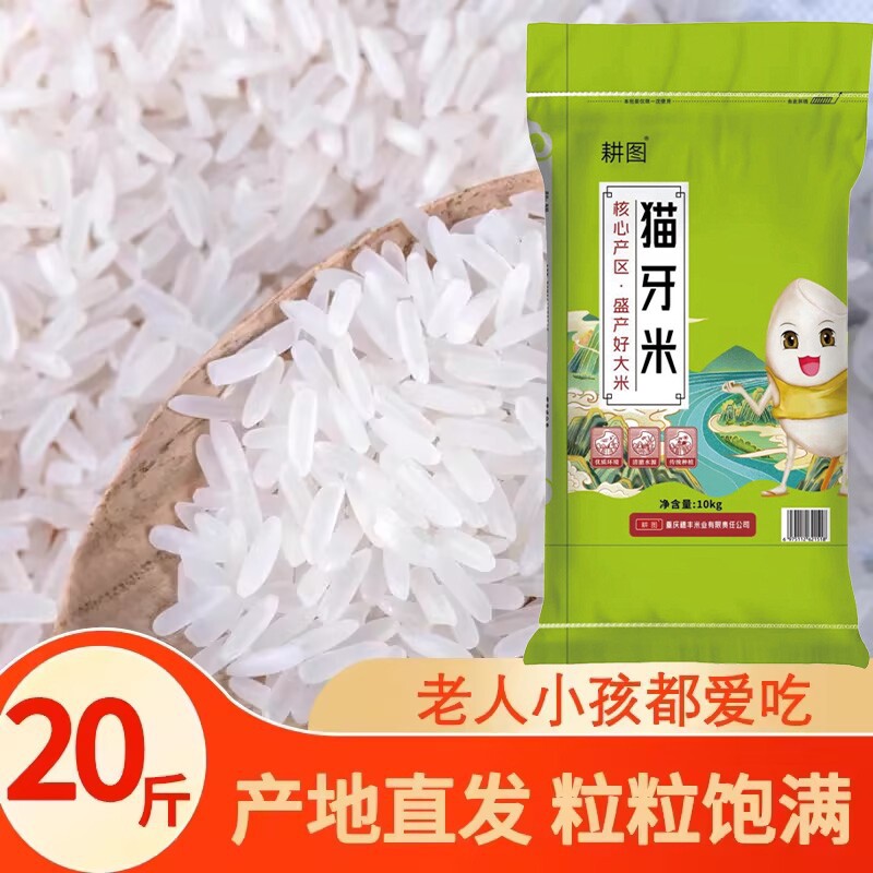 南方大米丝苗米10斤/20斤新米晚稻米猫牙香米长粒米饭袋装软糯
