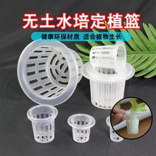 水培定植篮植物无土栽培水培器皿设配塑料加深种植蔬菜固定器水耕