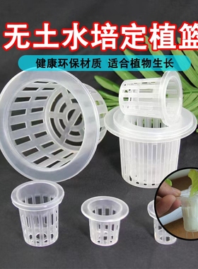 水培定植篮水培器皿植物无土栽培设配塑料加深种植蔬菜固定器水耕