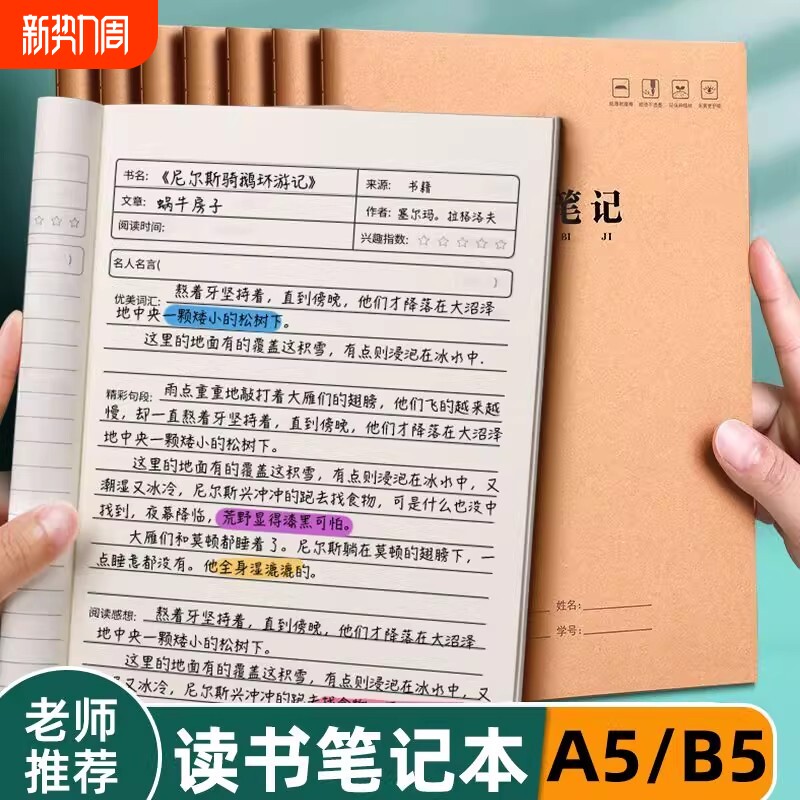 读书笔记本好词好句好段摘抄本阅读记录专用本小学生卡日积月累一二年