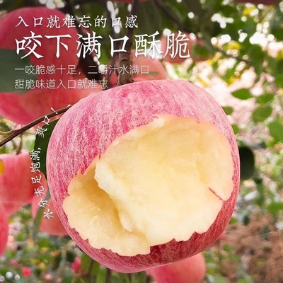 【精选品质】山西红富士冰糖心苹果酸脆甜多汁现摘新鲜丑苹果整箱