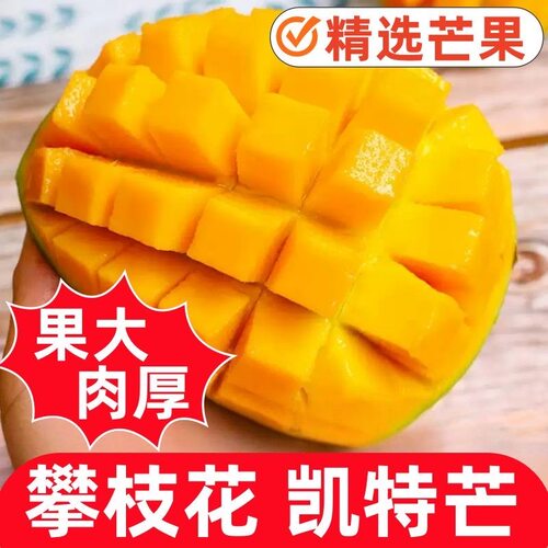 正宗四川攀枝花凯特芒果新鲜