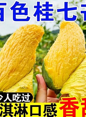 正宗广西百色桂七芒果新鲜水果青芒果当季香甜多汁包邮