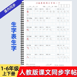 2025年人教版 识字基础笔顺作文格练习写字帖描红硬笔书法培训教材 小学一二三四五六年级上下册语文课本同步练字帖AM款