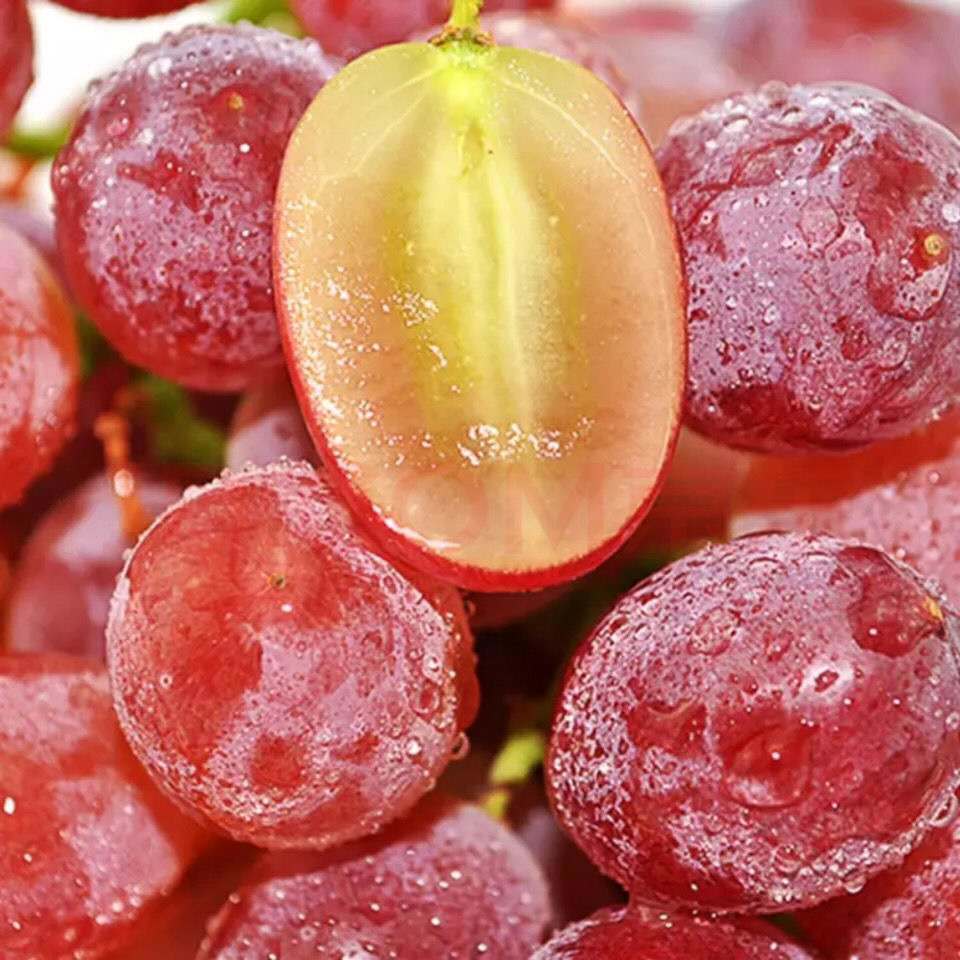 克伦生无籽红提葡萄现摘新鲜多汁无核无籽超甜脆当季孕妇儿童水果