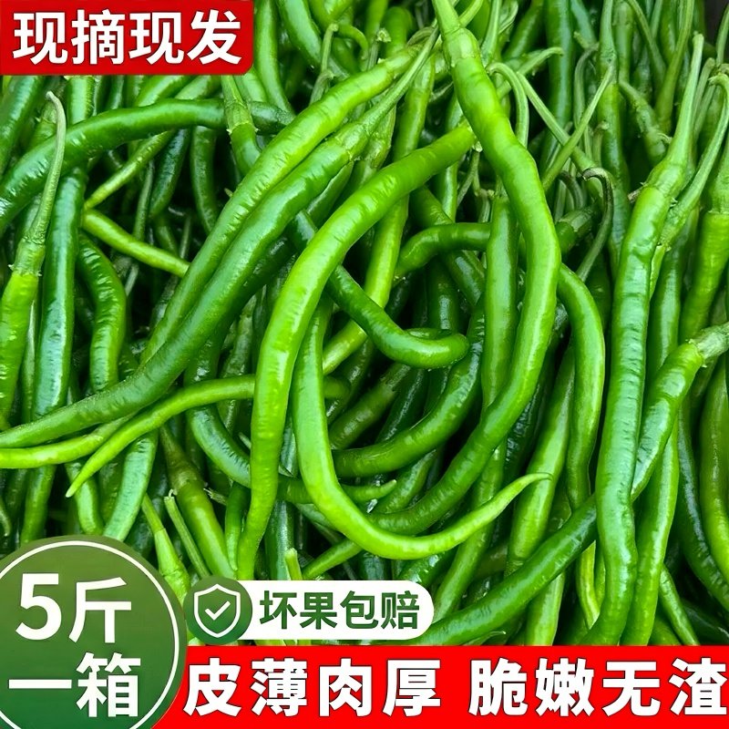 新鲜薄皮线椒蔬菜批发尖椒辣椒青椒二荆条批发新鲜青线椒新鲜直达,水产肉类/新鲜蔬果/熟食,辣椒,淘宝优惠券,粉丝福利购,淘宝优惠卷