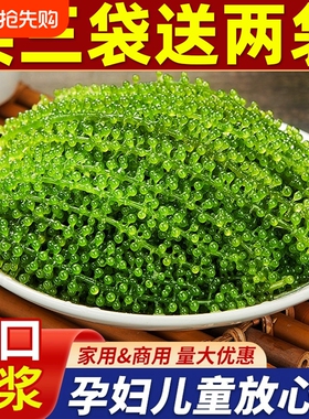 儿童海葡萄绿色鱼子酱即食泡发新鲜吃海葡萄送芥末酱料官方旗舰店