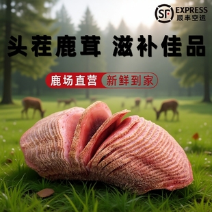 东北梅花鹿茸中段鹿茸片正品 新鲜鹿茸整根带血鹿茸泡酒专用中药材