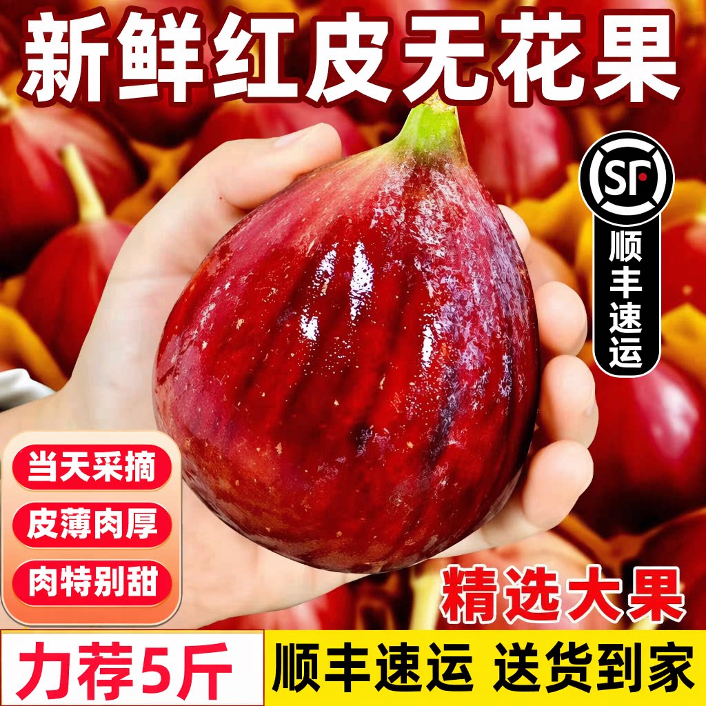 【顺丰】新鲜现摘无花果鲜果大果波姬红/芭劳奈无花果紫皮无花果