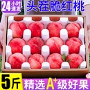 时令水果应季 现摘桃子新鲜大果5斤水蜜桃现货当季 整箱脆桃毛桃