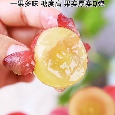 妮娜皇后葡萄红宝石提子妮娜女皇无籽红提红酒花香味葡萄