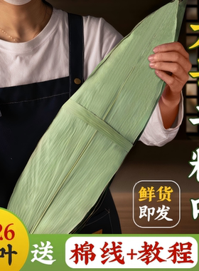 粽子叶干大号特新包的棕家箬竹鲜批发旗舰店材料芦野生苇叶子竹叶