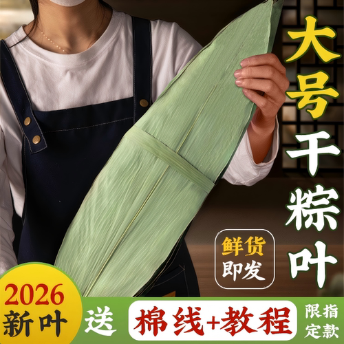 粽子叶干大号特新包的棕家箬竹鲜批发旗舰店材料芦野生苇叶子竹叶