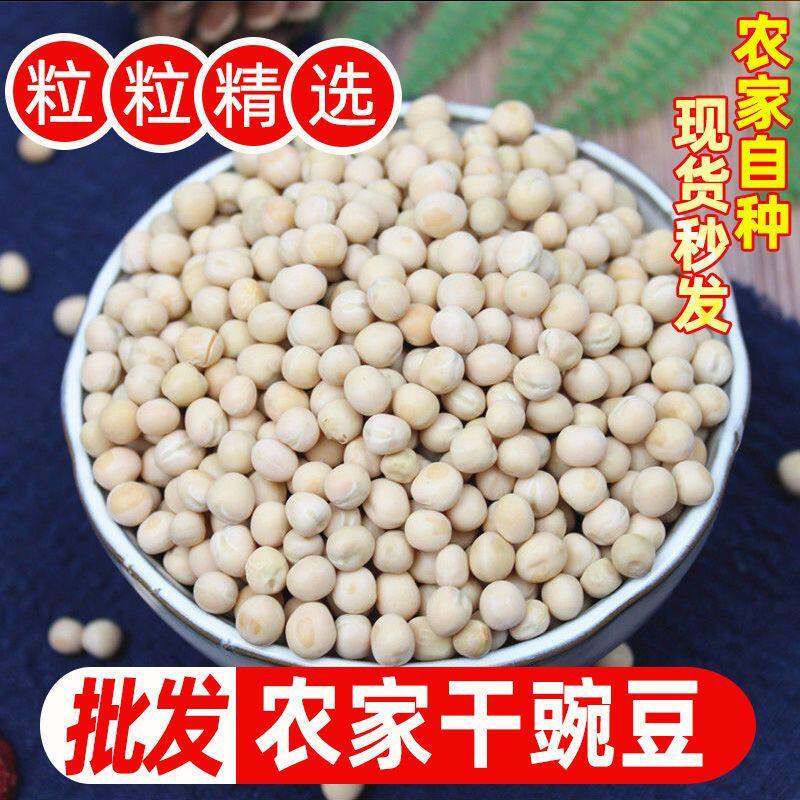 干豌豆云南白豌豆农家生豌豆非黄豆五谷杂粮粗粮豆子鸽粮饲料自种 - 实物图