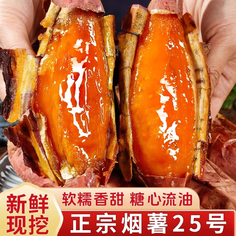 山东烟薯25号蜜薯糖心红薯新鲜正宗沙地烤地瓜专用山芋