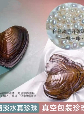 诸暨淡水迷你珍珠蚌一蚌一珠爱迪生河蚌自己动手开蚌取珍珠diy